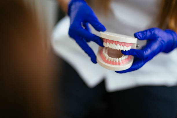 Best Preventive Dentistry  in Potosi, TX